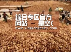 种植基地二