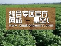 种植基地五(图1)