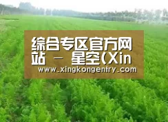 种植基地四