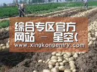 种植基地八