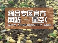种植基地七