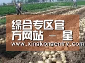 种植基地七(图1)