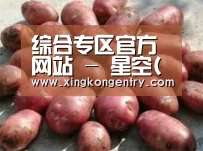 产品展示标题5(图1)