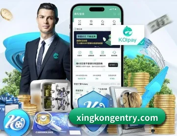 星空官网 APP 深度功能