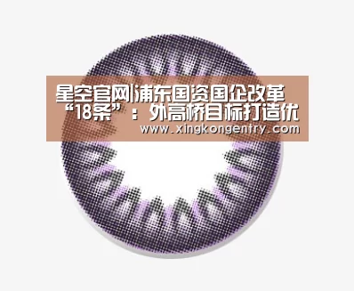 星空官网|浦东国资国企改革“18条”:外高桥目标打造优势企业(图2) 星空APP